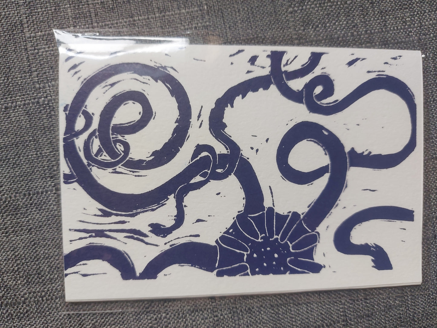 Tide Pool Card (Anita Singh)