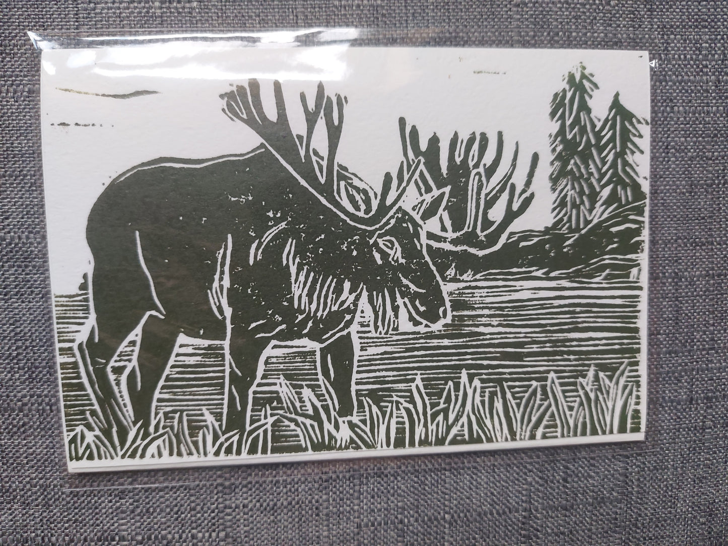 Garden/ Forest Cards (Anita Singh)