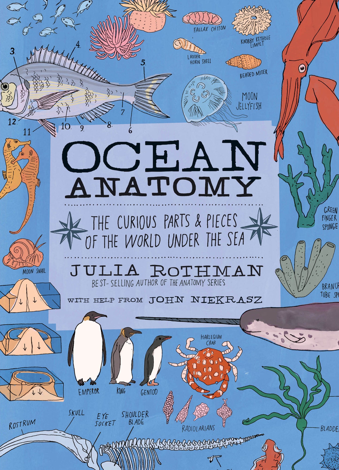 Ocean Anatomy: The curious parts & pieces of the world under the sea