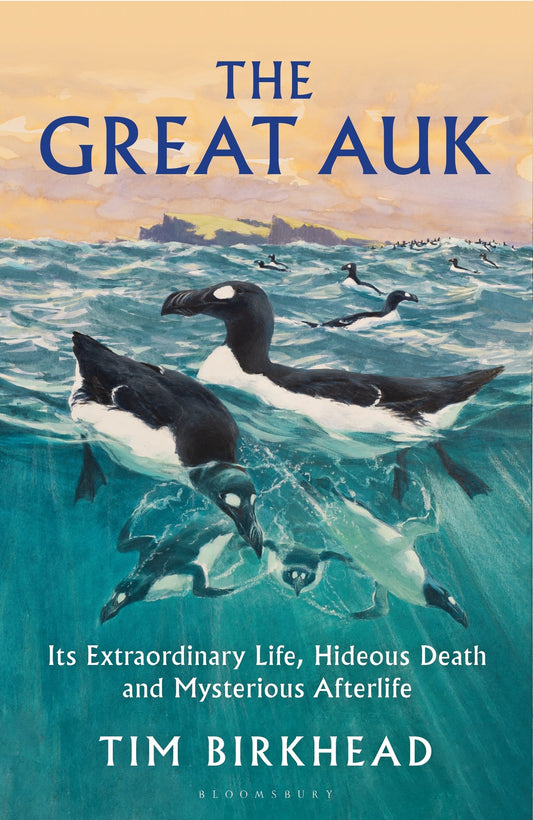 Great Auk, The: Its extraordinary life, hideous death and mysterious afterlife