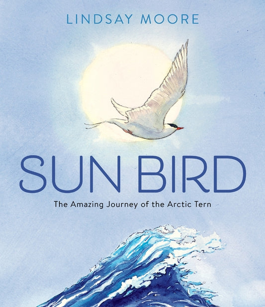 Sun Bird: The amazing journey of the arctic tern