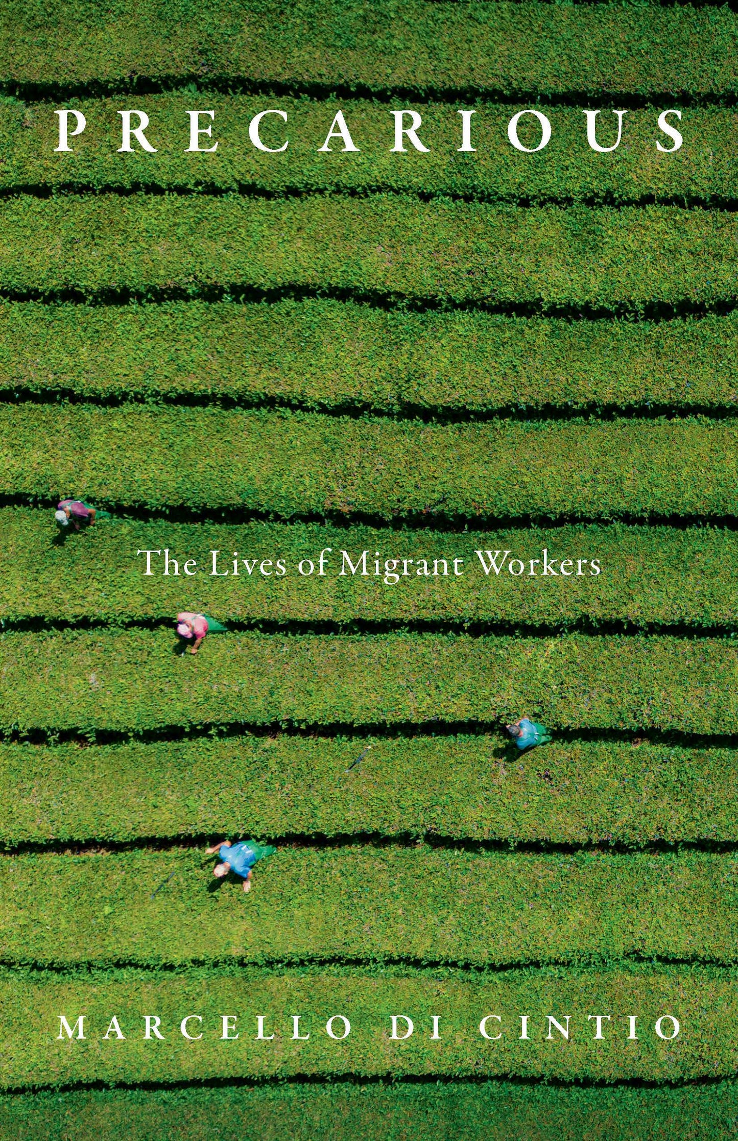 Precarious: The lives of migrant workers