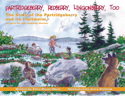Partridgeberry, Redberry, Lingonberry, Too: The story of the partridgeberry and its fruitworm