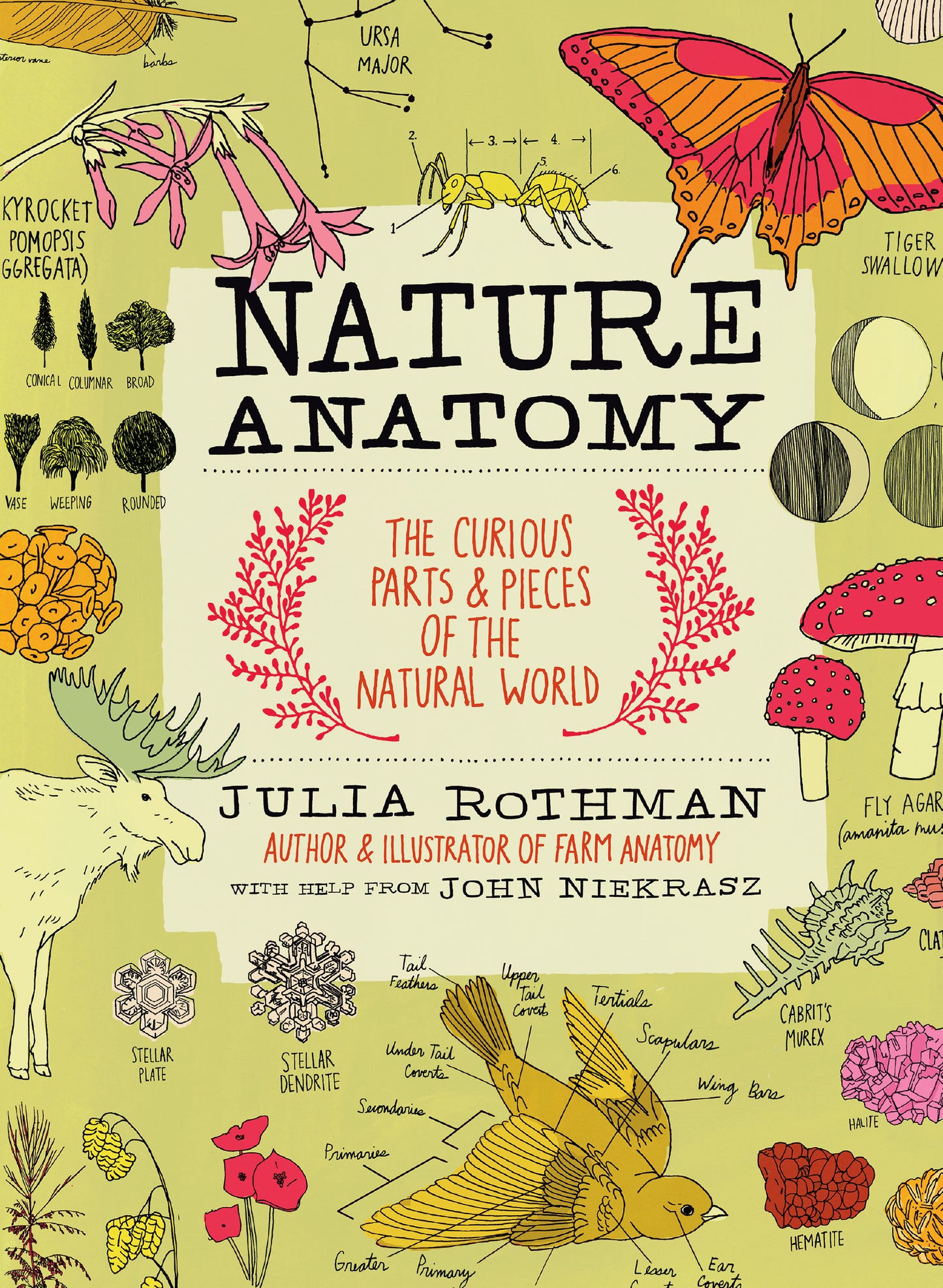 Nature Anatomy: The curious parts & peices of the natural world