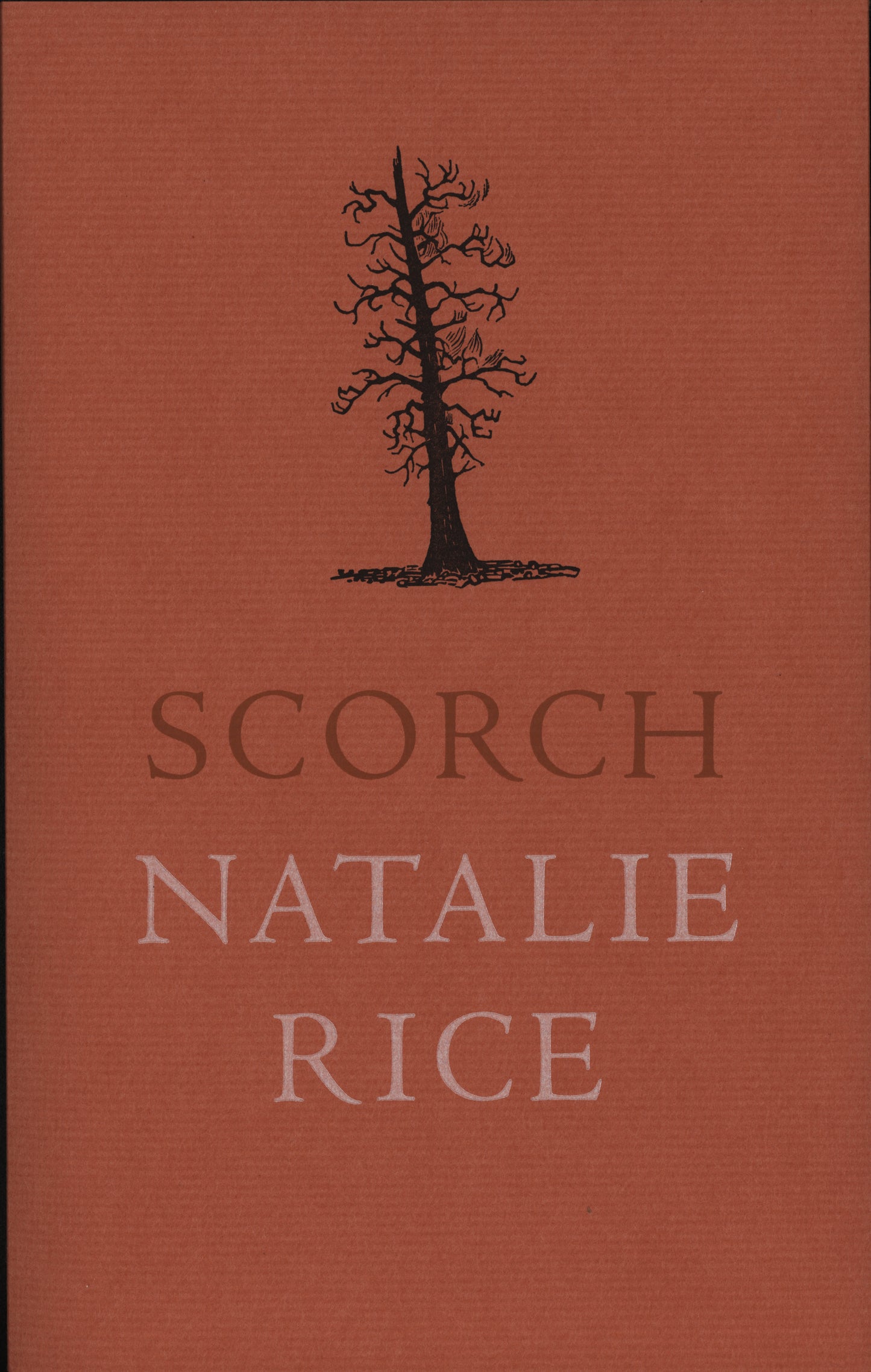 Scorch