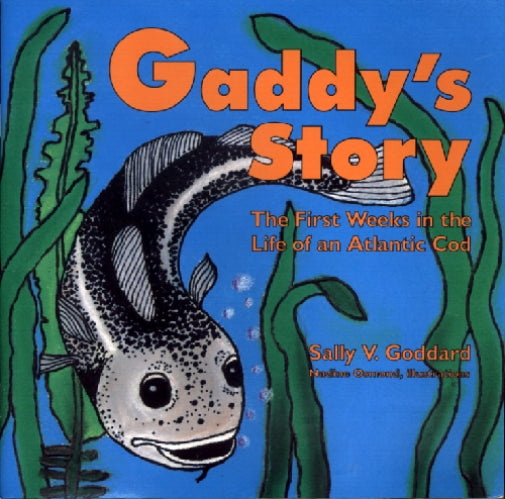 Gaddy's Story: The first weeks in the life of an Atlantic cod