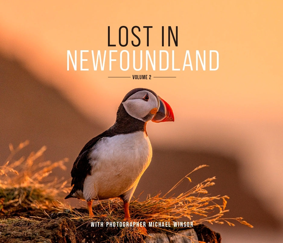 Lost in Newfoundland, Volume 2