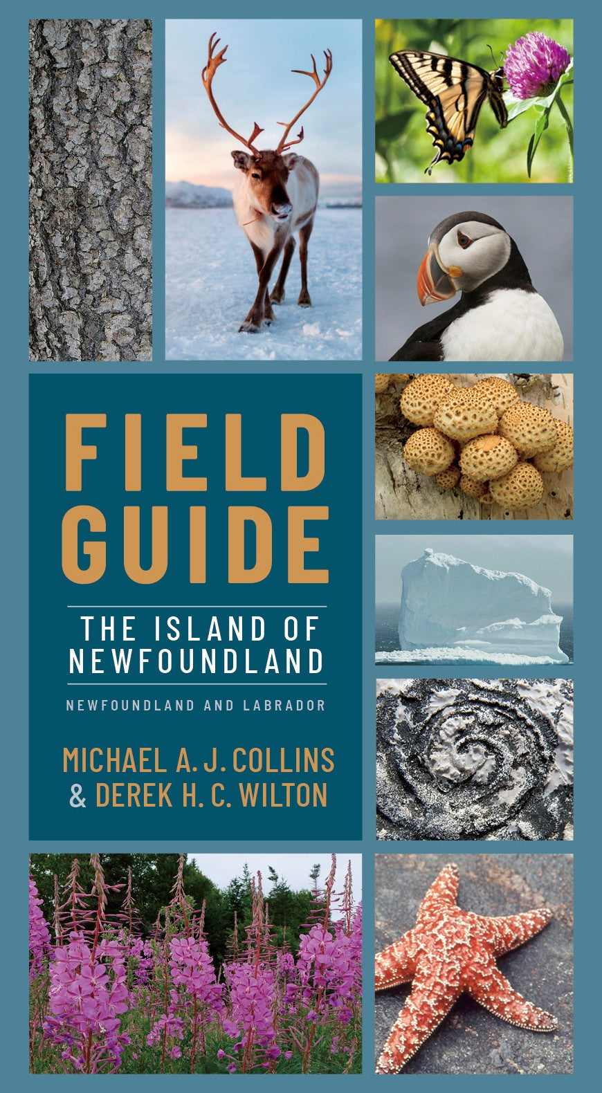Field Guide to Newfoundland and Labrador: The Island of Newfoundland