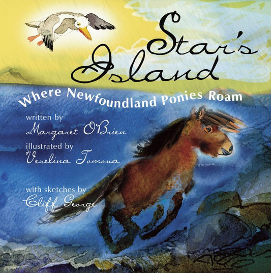 Star's Island: Where Newfoundland ponies roam