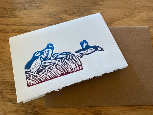 Puffins (Card)