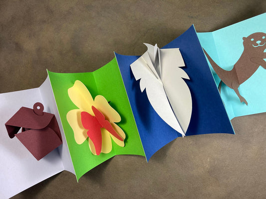 The Tara Bryan Legacy Fund is delighted to welcome book artist/paper engineer Shawn  Sheehy to St. John's!