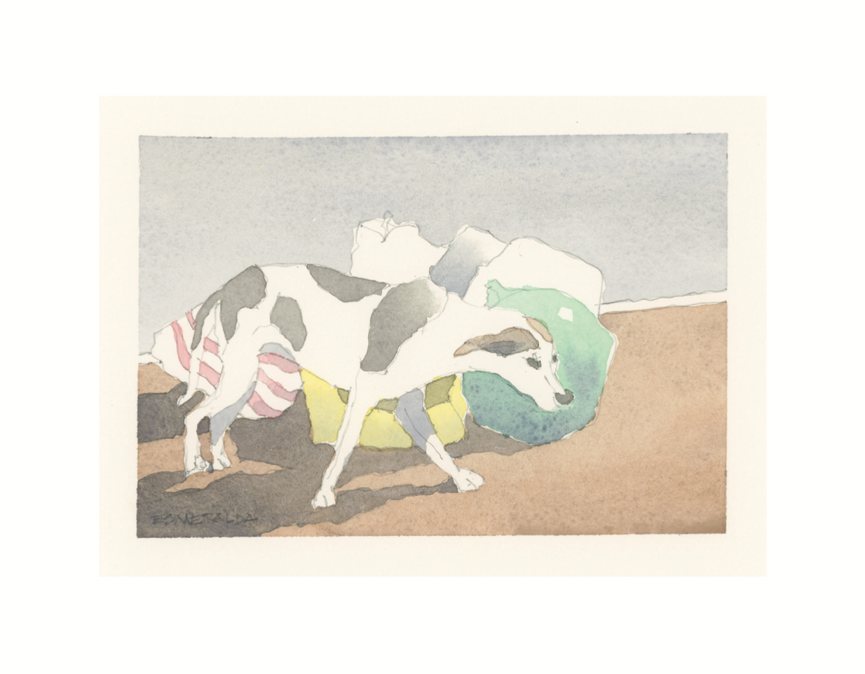 Street Dogs of Granada, Nicaragua (2nd edition)