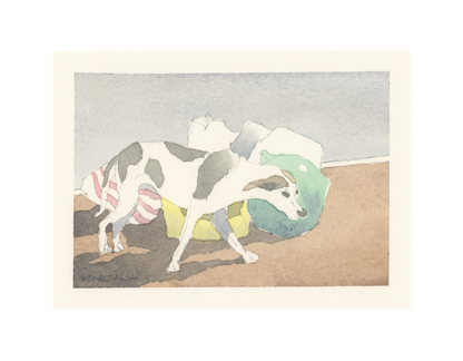 Street Dogs of Granada, Nicaragua (2nd edition)