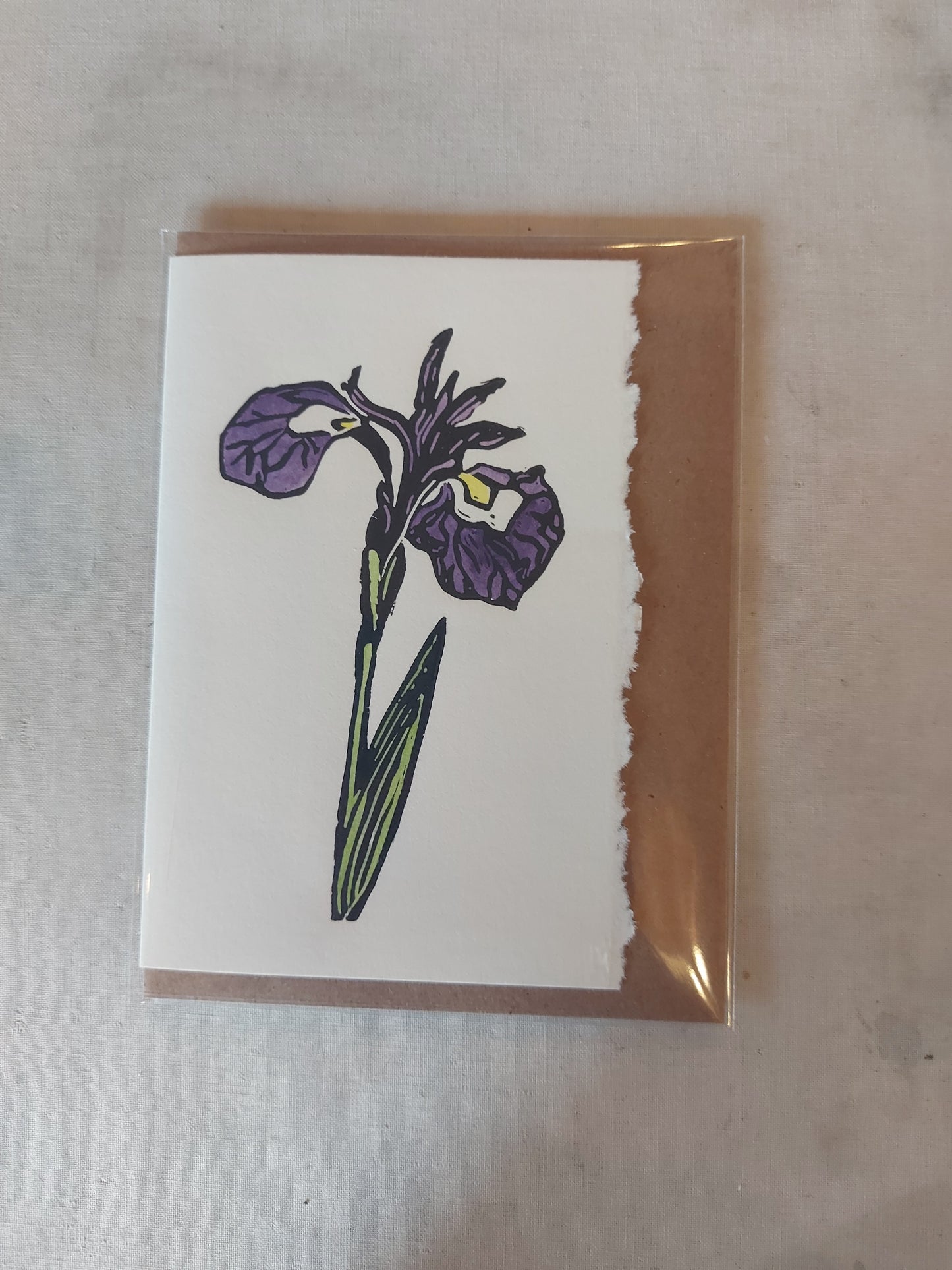 Landscape card (Norton's Cove)