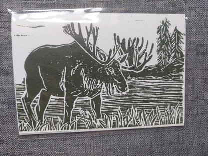 Garden/ Forest Cards (Anita Singh)