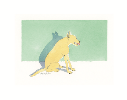 Street Dogs of Granada, Nicaragua (2nd edition)