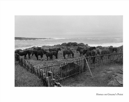 Tilting in Black and White: Photographs from Robert Mellin's archives