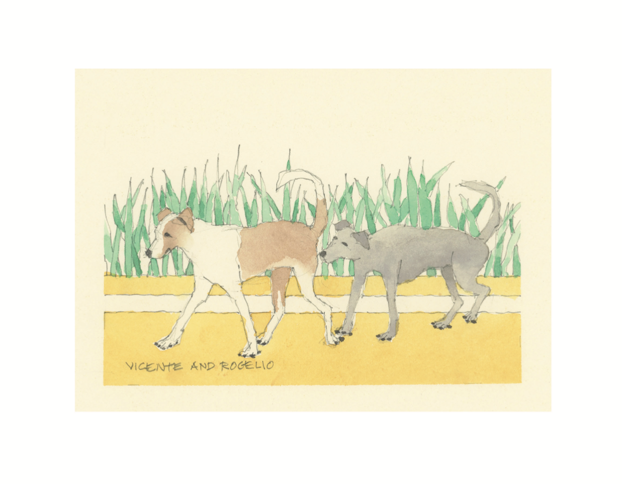 Street Dogs of Granada, Nicaragua (2nd edition)