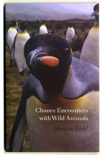 Chance Encounters with Wild Animals