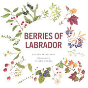 Berries of Labrador