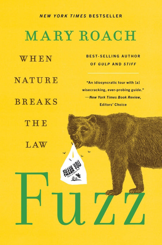 Fuzz: When nature breaks the law