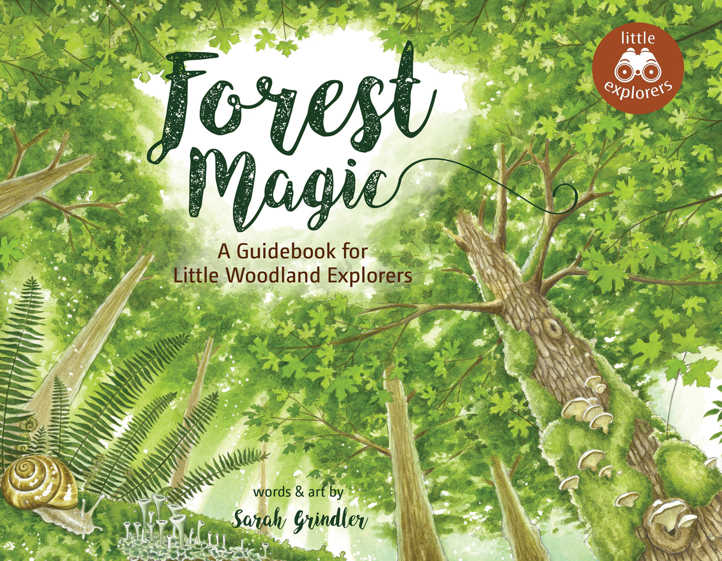 Forest Magic: A guidebook for little woodland explorers