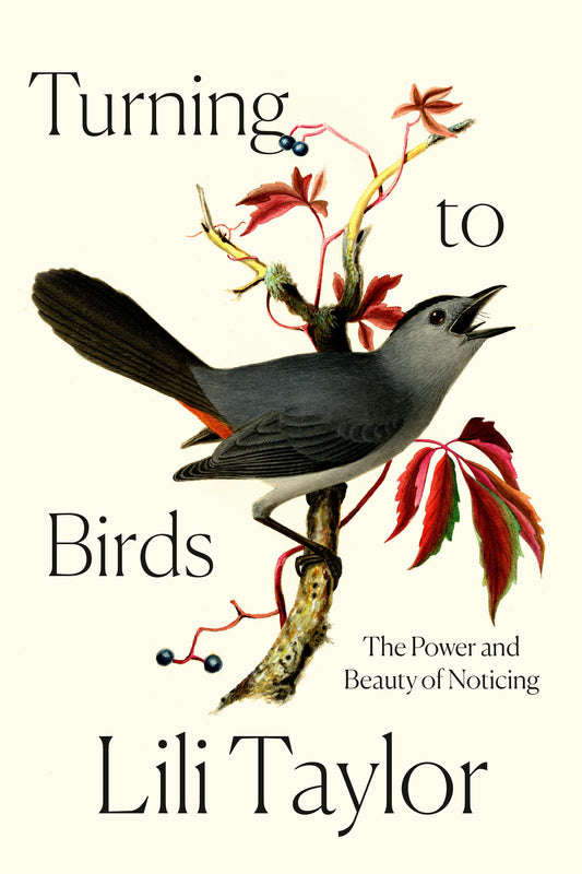 Turning to Birds: The power and beauty of noticing