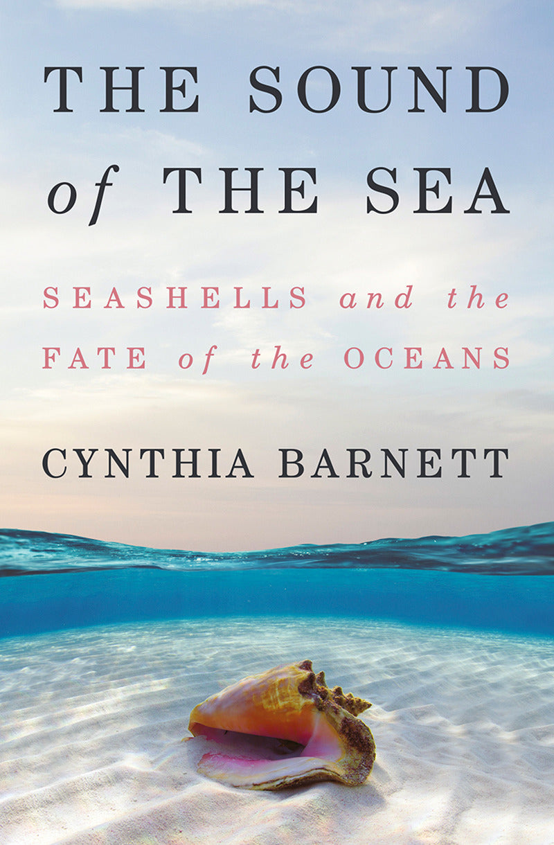 Sound of the Sea, The: Seashells and the fate of the ocean