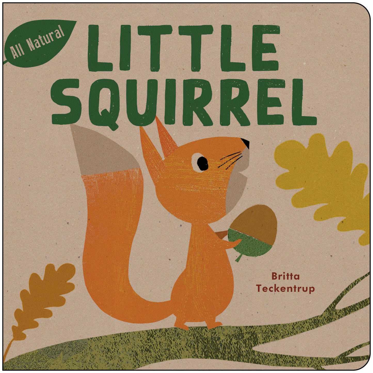 Little Squirrel