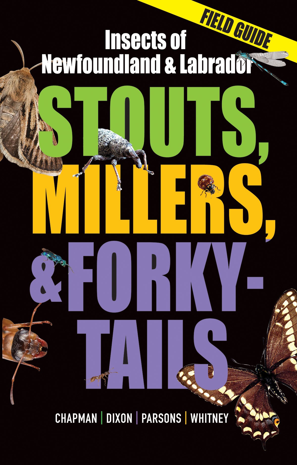 Stouts, Millers, & Forky-tails: Insects of Newfoundland and Labrador