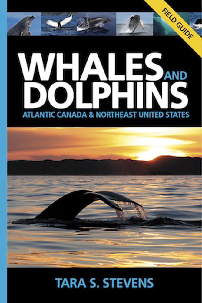 Whales and Dolphins of Atlantic Canada and Northeast United States