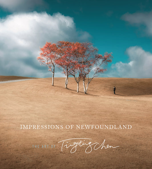 Impressions of Newfoundland: The art of Ting Ting Chen