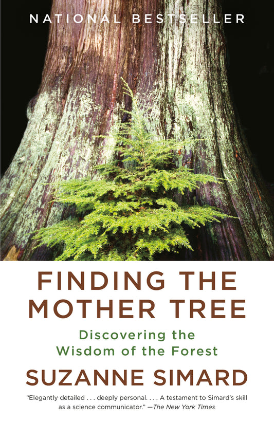 Finding the Mother Tree: Discovering the wisdom of the forest