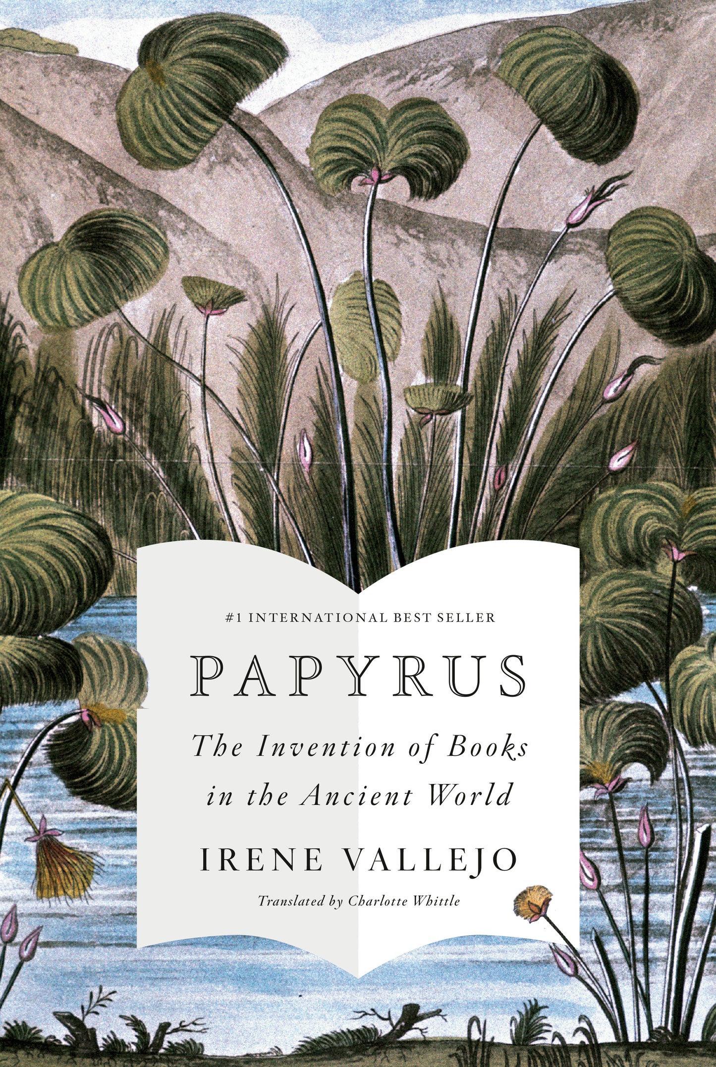 Papyrus: The invention of books in the ancient world