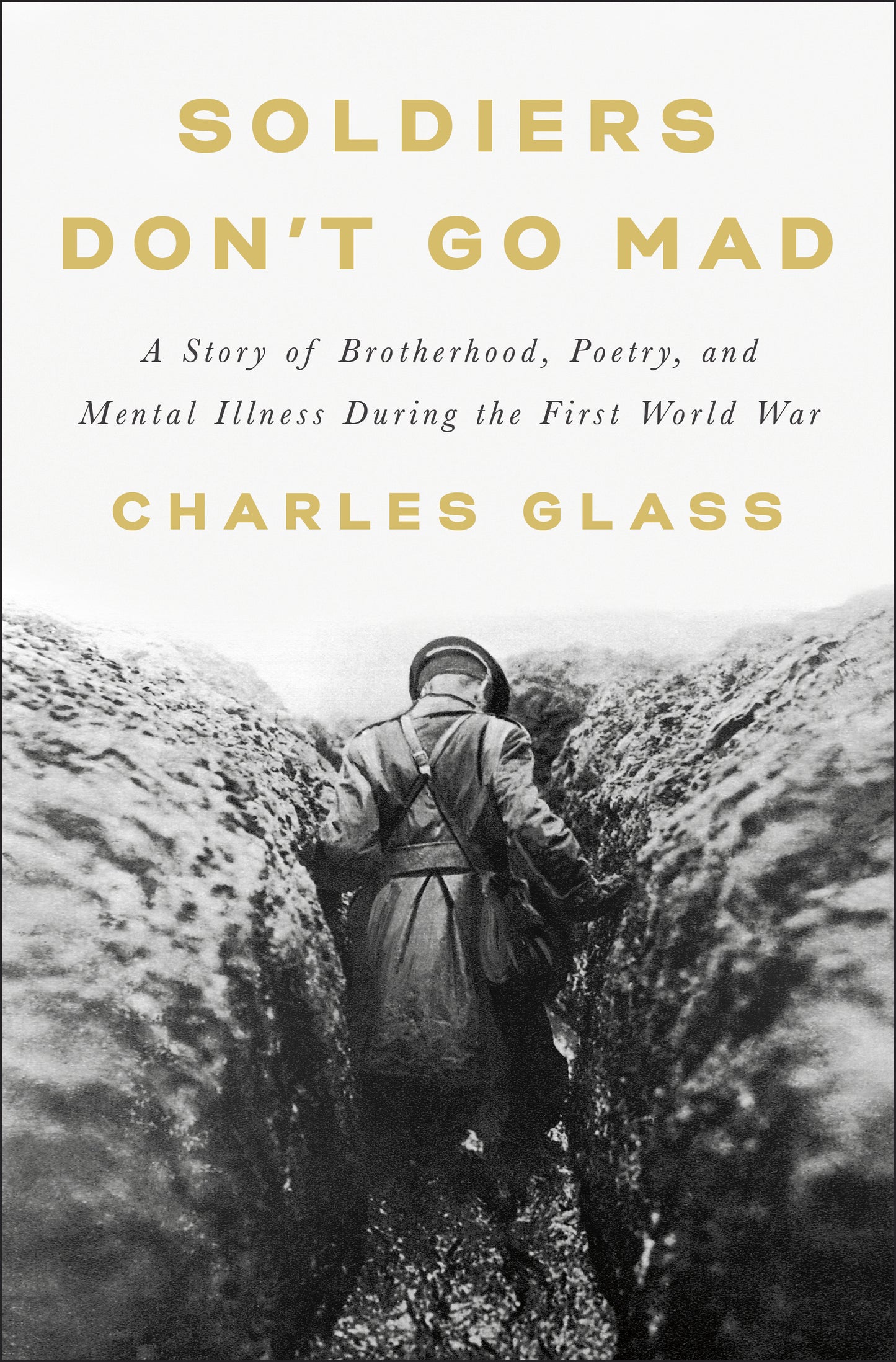 Soldiers Don't Go Mad: A story of brotherhood, poetry, and mental illness during the First World War