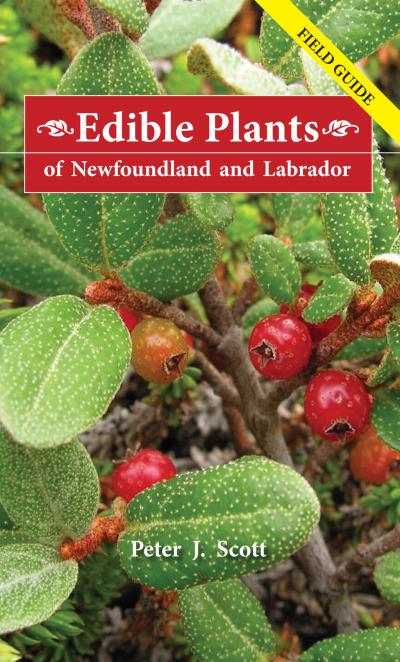 Edible Plants of Newfoundland and Labrador