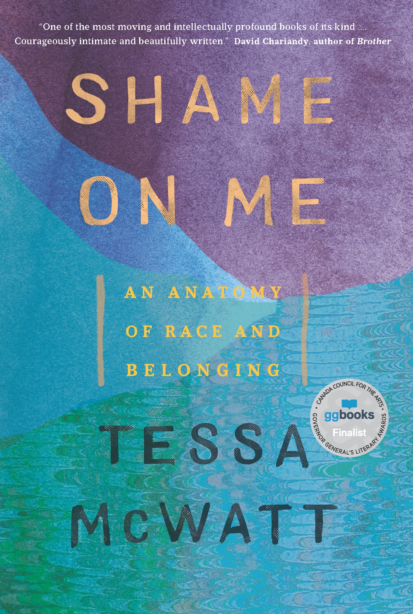 Shame on Me - An Anatomy of Race and Belonging