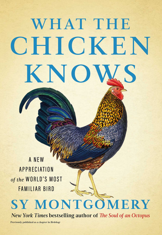 What the Chicken Knows: A new appreciation of the world's most familiar bird