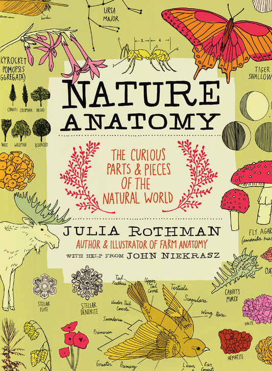 Nature Anatomy: The curious parts & peices of the natural world
