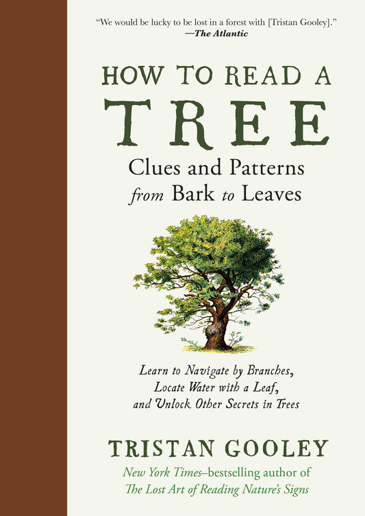 How to Read a Tree: Clues and patterns from bark to leaves