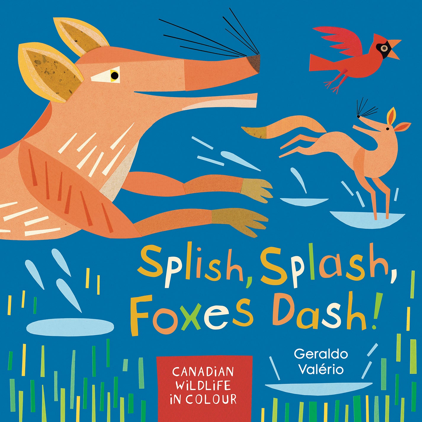 Splish, Splash, Foxes Dash