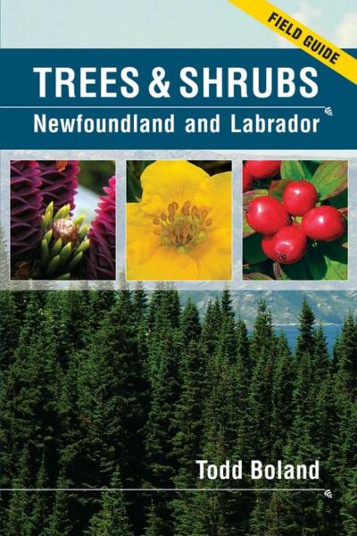 Trees & Shrubs of Newfoundland and Labrador