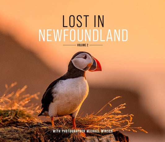 Lost in Newfoundland, Volume 2