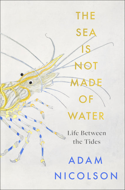 Sea is Not Made of Water, The: Life between the tides