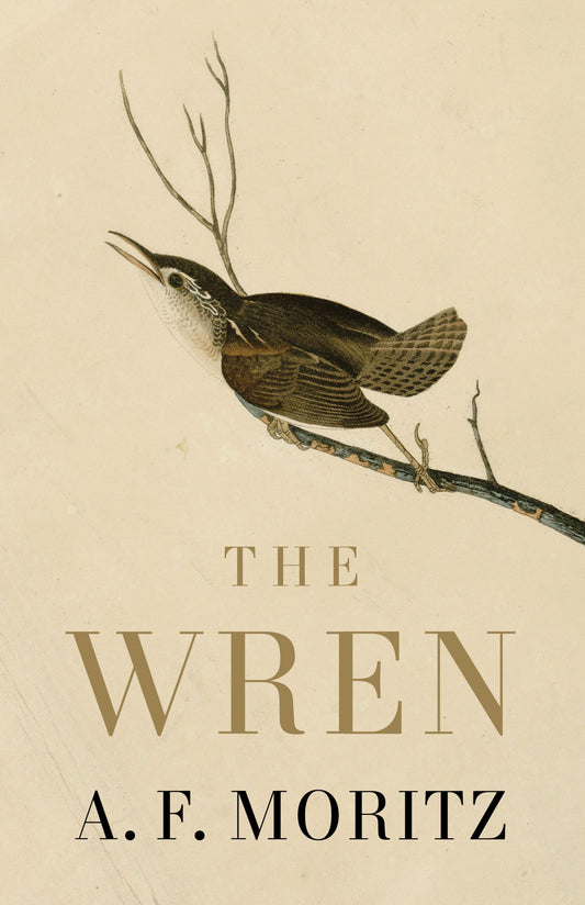 Wren, The