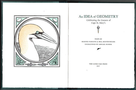 Idea of Geometry, An: Celebrating the gannets of Cape St. Mary's